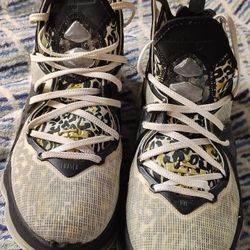 Nike Lebrons