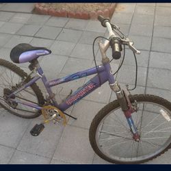 Roadmaster MT Sport SX 24” Girls 18‑Speed Mountain Bike – Purple