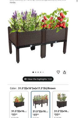 Raised Garden Bed