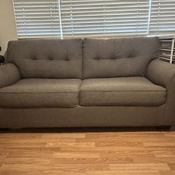 Sleeper Sofa/pull Out Couch