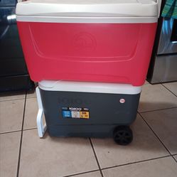 Hieleras cada una15 y 20