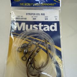 Brand New Striper Eel Rig