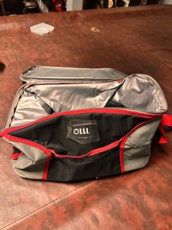 ice chest  bag