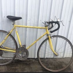 Schwinn Bike