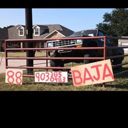 88 Ford Baja 4 Wheel Drive