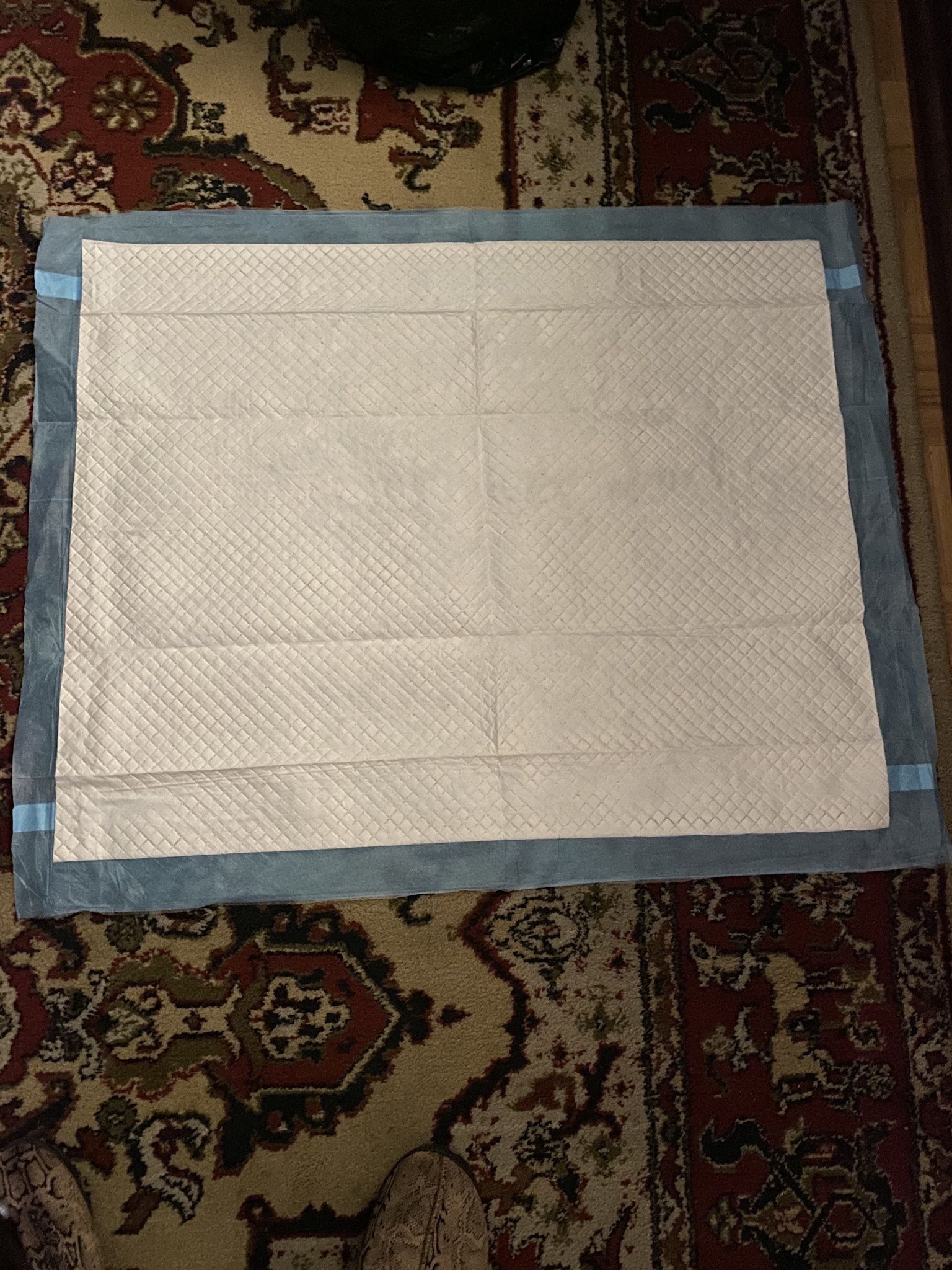 Pee Pee Pads