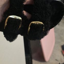 Big Buckles Birkenstock 