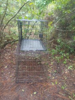 2 Dog Crates left. Buy 2 for the price of 1.