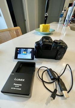 Panasonic Lumix DMC-FZ200 12.1 MP Digital Camera