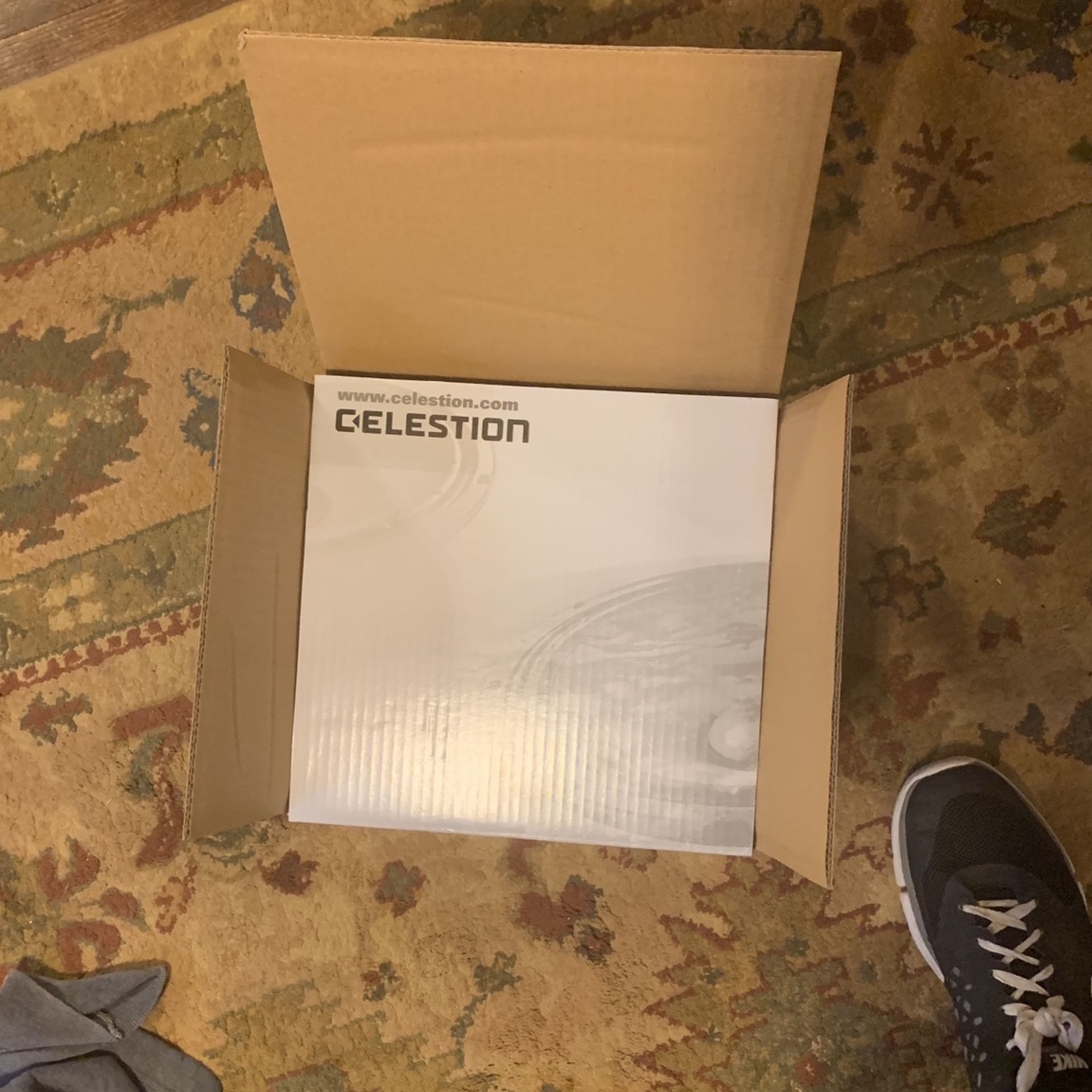 Brand New Celestion Greenback 10” Speaker