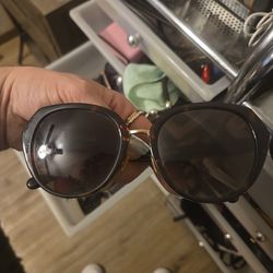 Coach sunglasses