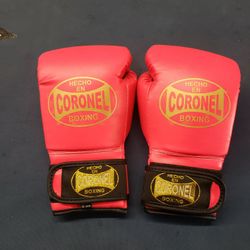 Boxing Gloves 