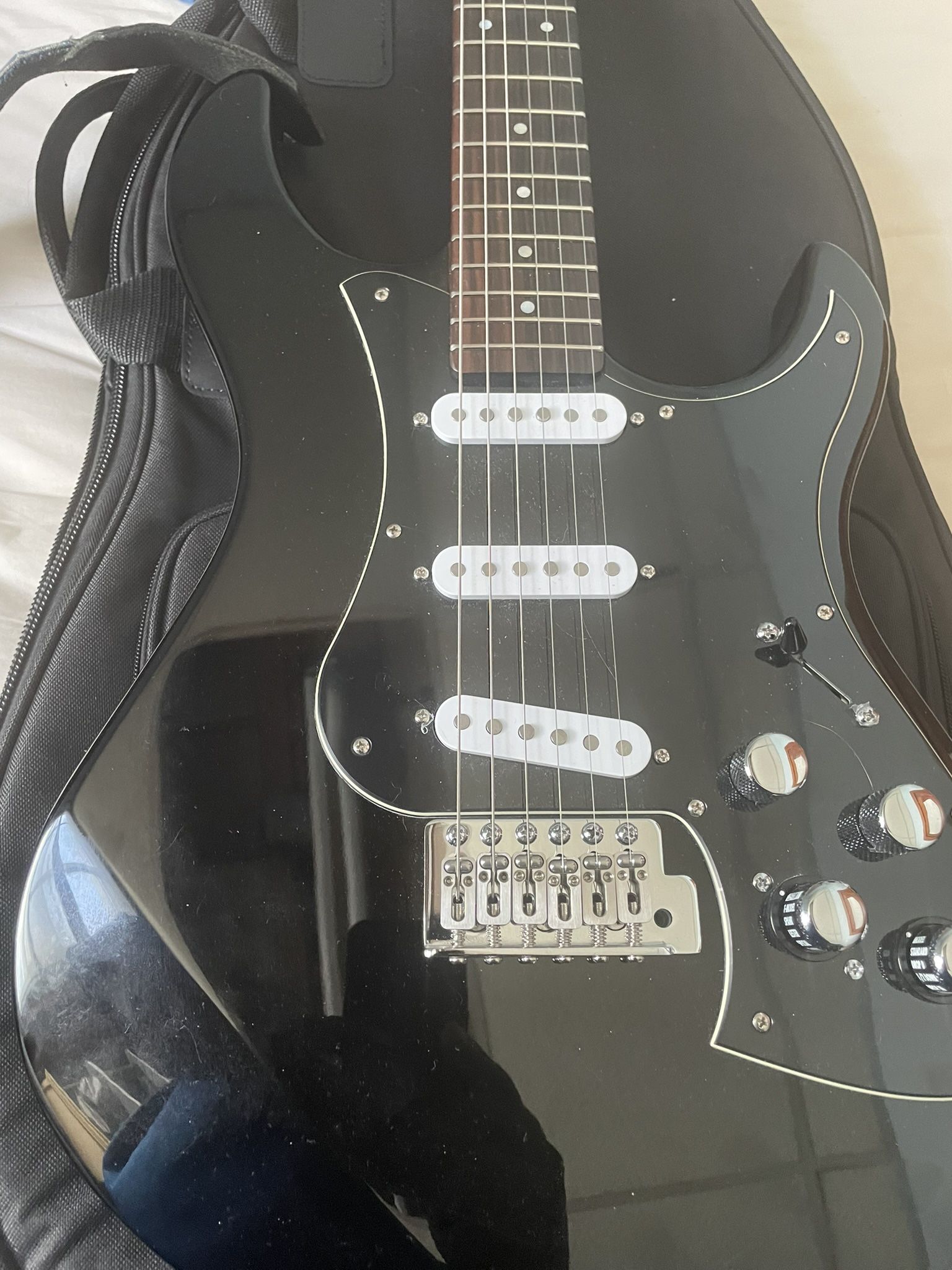 Variax Standard