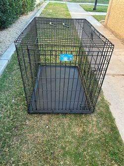 Dog kennel