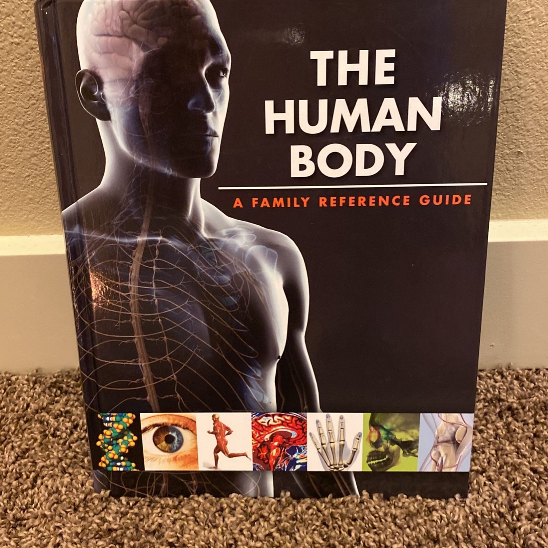 Book - The human body