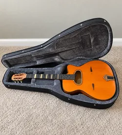 C. Patenotte Type 250 gypsy-jazz guitar + Ibanez case