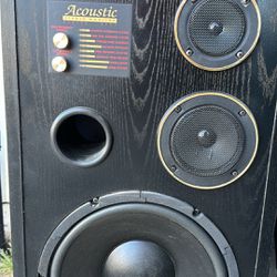 Vintage Acoustic Speakers 