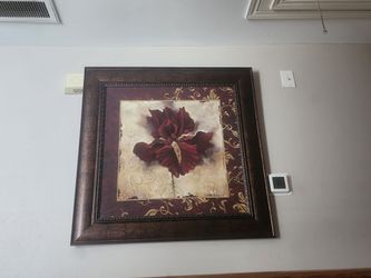 Photo for sale today