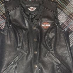 Hardly Davison Leather Jacket Size Large