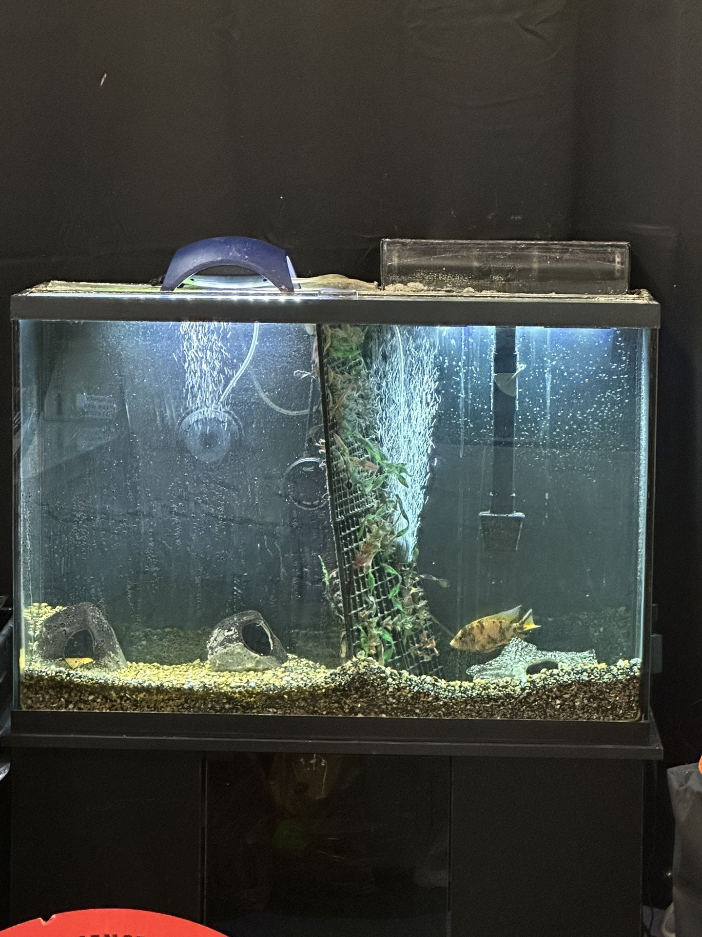 45 Gallon Marineland Fish Tank, Fish Tank Stand, Filter, Gravel