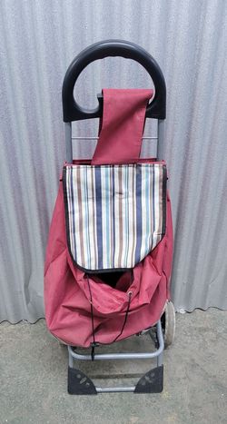 Shopping Cart with Bag
