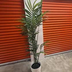 6 Foot Artificial Plant