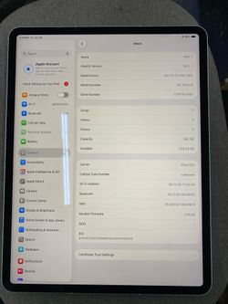 iPad Air 13” M3 256Gb WiFi plus cell