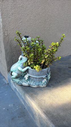 SMALL FROG w/ Pot & SUCCULENT