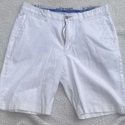TOMMY BAHAMA MENS SHORTS SZ 34