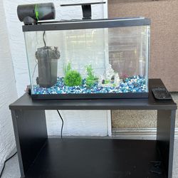 Aquarium full set up with automatic food dispenser
