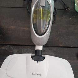 Steam Cleaner