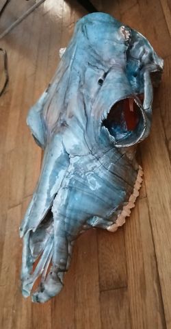 Hand finished full cow skull