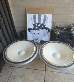 Hartley Luth 218ms 18" Speaker - Rare Pair - Working