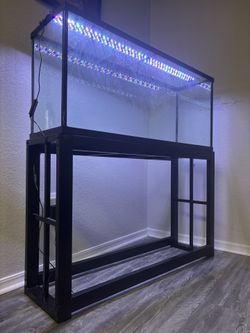 Fish Tank
