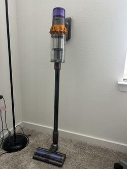 Dyson V 15