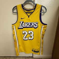 LeBron James Jersey