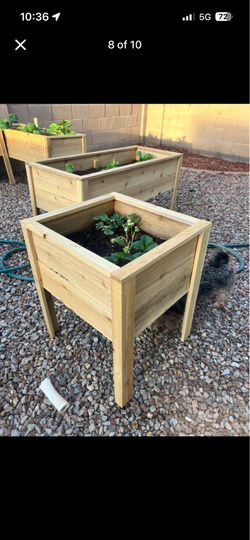 Cedar boxes