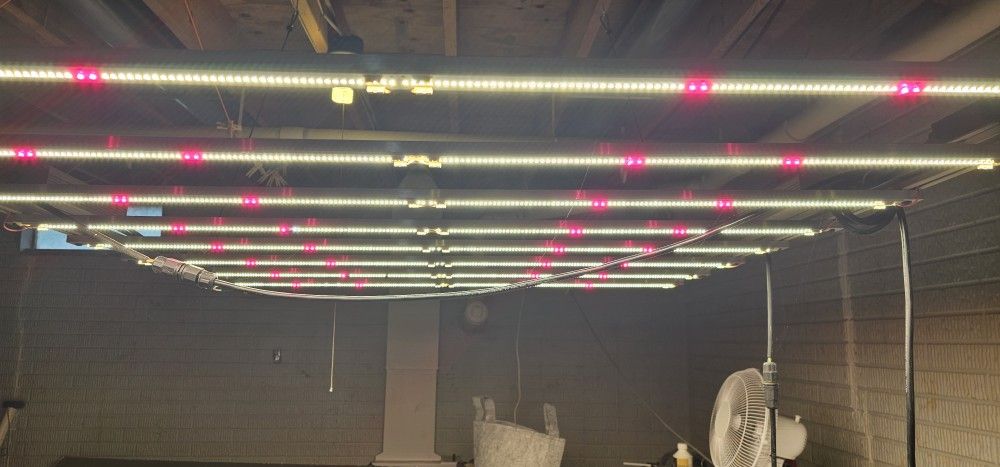 Meanwell LED