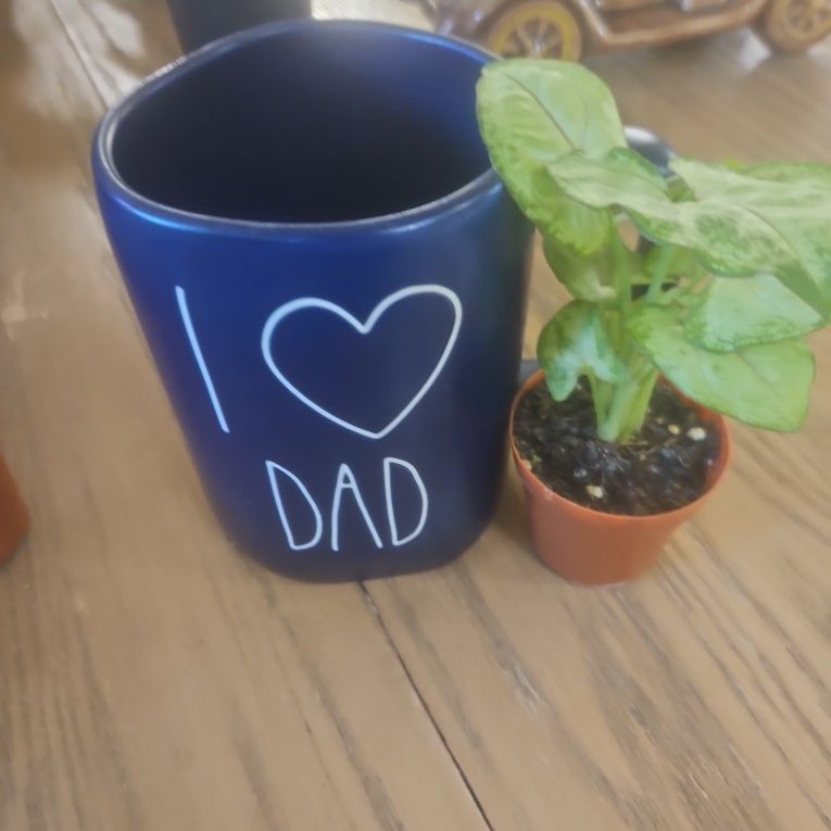 Fathers Day Gift 🎁 