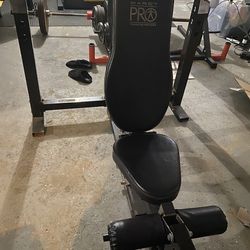 Marcy Pro Systems Bench And Leg Extension