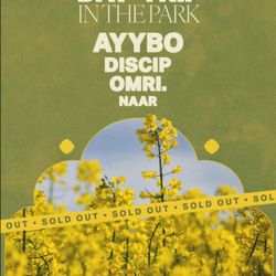 Ayybo Day In The Park Ticket