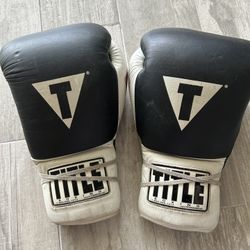 Title Boxing Gloves 