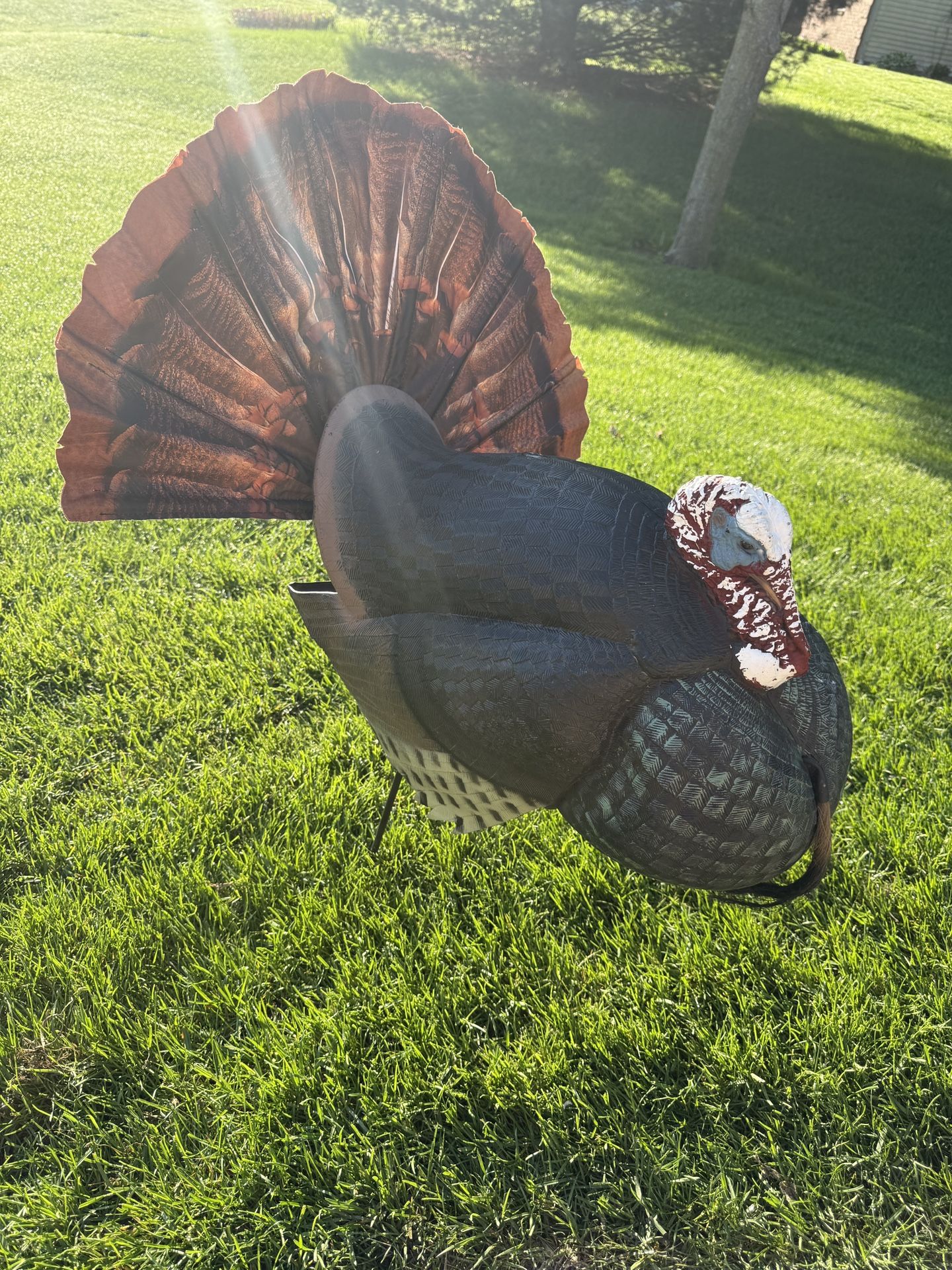 Turkey Decoy