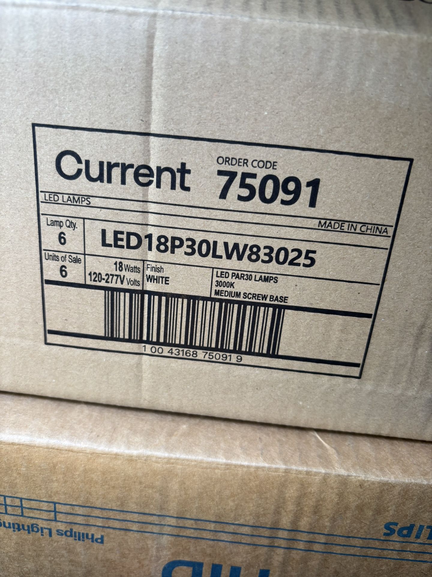 Light Bulbs