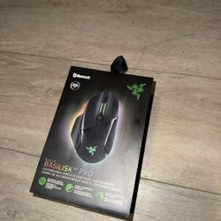 Computer Mouse 