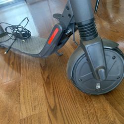 Ninebot Electric Scooter