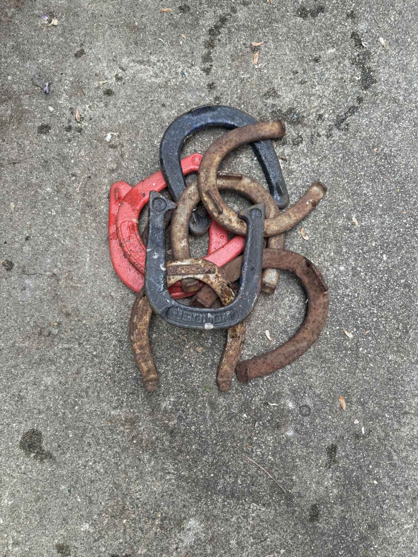 Horseshoes