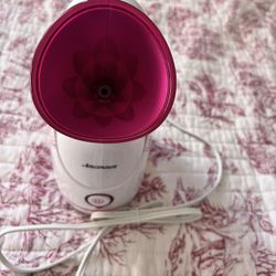 Face Steamer 