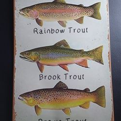Metal Sign Rainbow, Brook , Brown Trout Vintage Fishing Wall Art Room Aesthetic