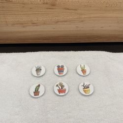 6 Succulent Magnets